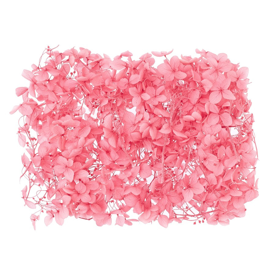 Dried Flower Box Hydrangea (Pink)