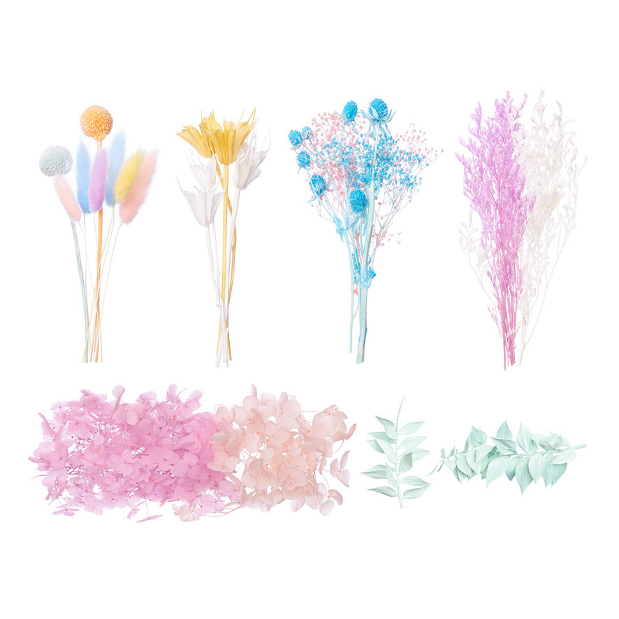 Deluxe Dried Flower Box (Rainbow Pastels)