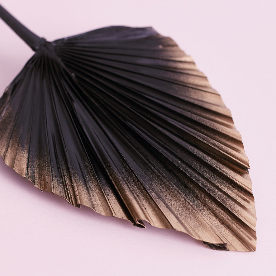 Decorated Dried Palm Spear (Black & Gold Ombre)