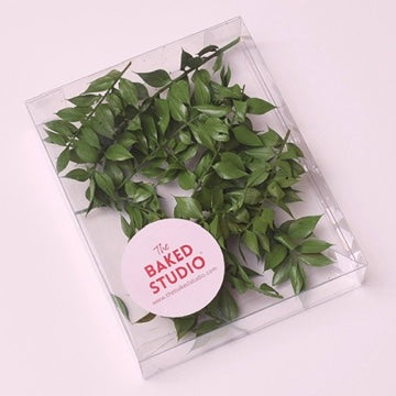 Dried Flower Box Ruscus (Natural Green)