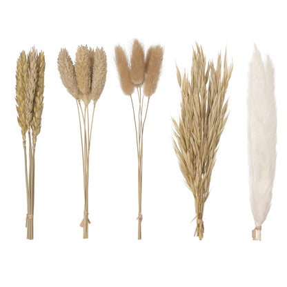Dried Flower Box Mixed (Natural)
