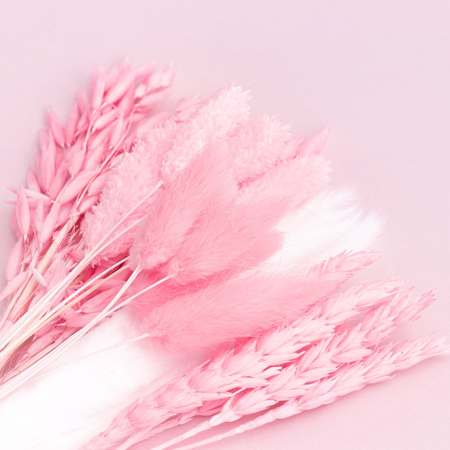 Dried Flower Box Mixed (Hot Pink)