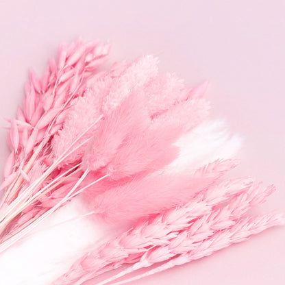 Dried Flower Box Mixed (Hot Pink)