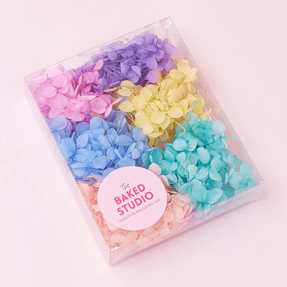 Dried Flower Box Hydrangea (Rainbow Pastel)