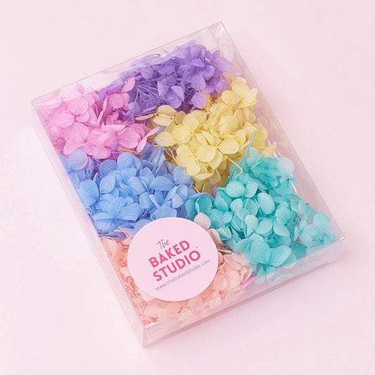 Dried Flower Box Hydrangea (Rainbow Pastel)