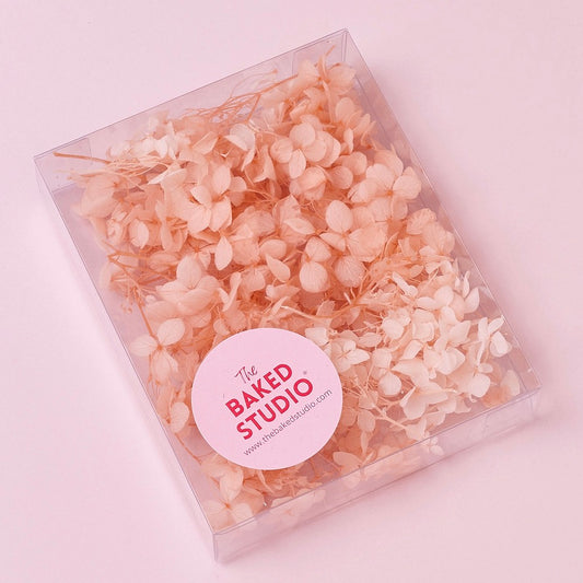 Dried Flower Box Hydrangea (Dusky Peach)
