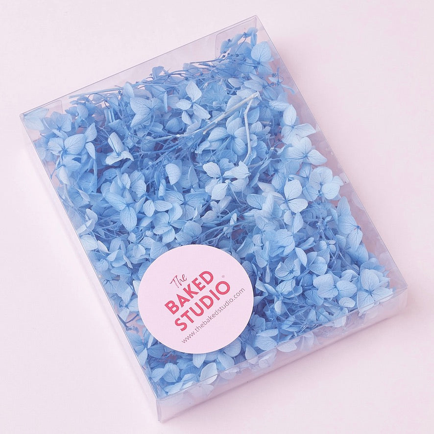 Dried Flower Box Hydrangea (Light Blue)