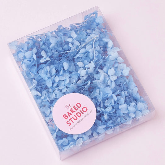 Dried Flower Box Hydrangea (Light Blue)