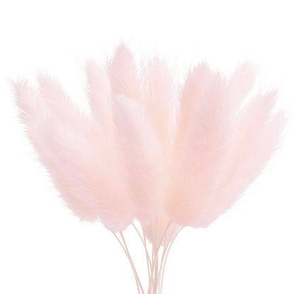 Dried Flower Box Lagurus / Bunny Tails (Light Pink)
