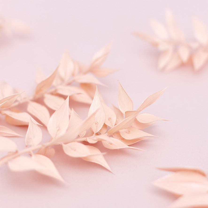 Dried Flower Box Ruscus (Light Pink)