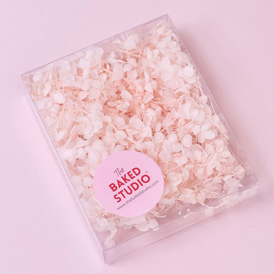 Dried Flower Box Hydrangea (Light Pink)