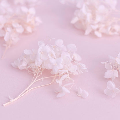 Dried Flower Box Hydrangea (Light Pink)