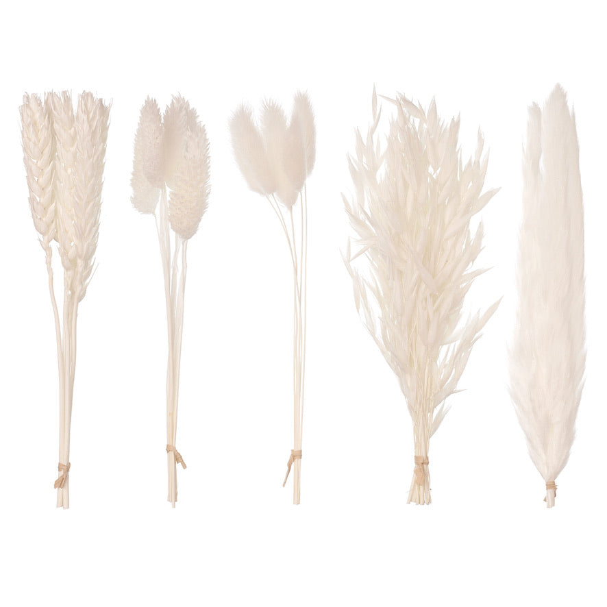Dried Flower Box Mixed (White)