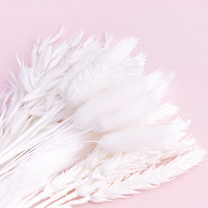 Dried Flower Box Mixed (White)