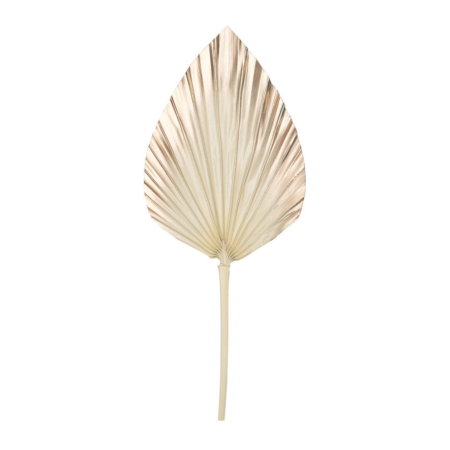 Decorated Dried Palm Spear (Cream & Gold Ombre)