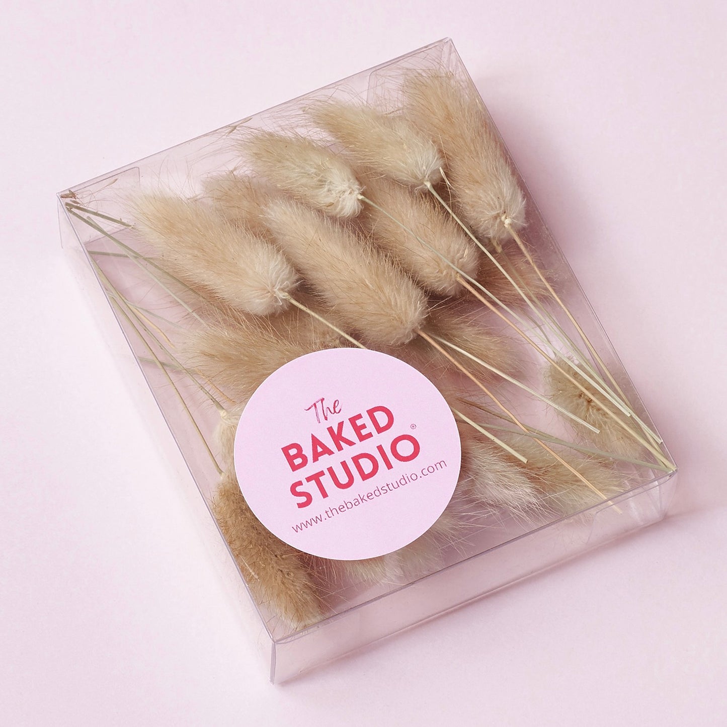 Dried Flower Box Lagurus / Bunny Tails (Natural)