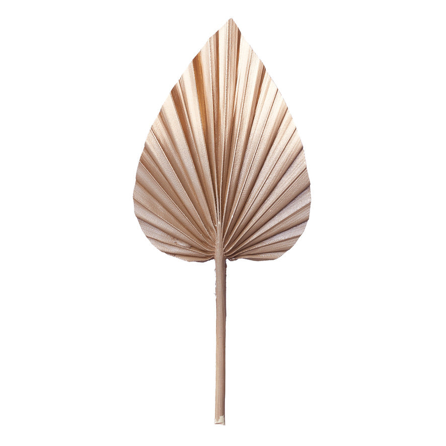 Decorated Dried Palm Spear (Mocha Latte & Gold Ombre)
