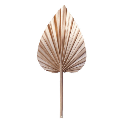 Decorated Dried Palm Spear (Mocha Latte & Gold Ombre)