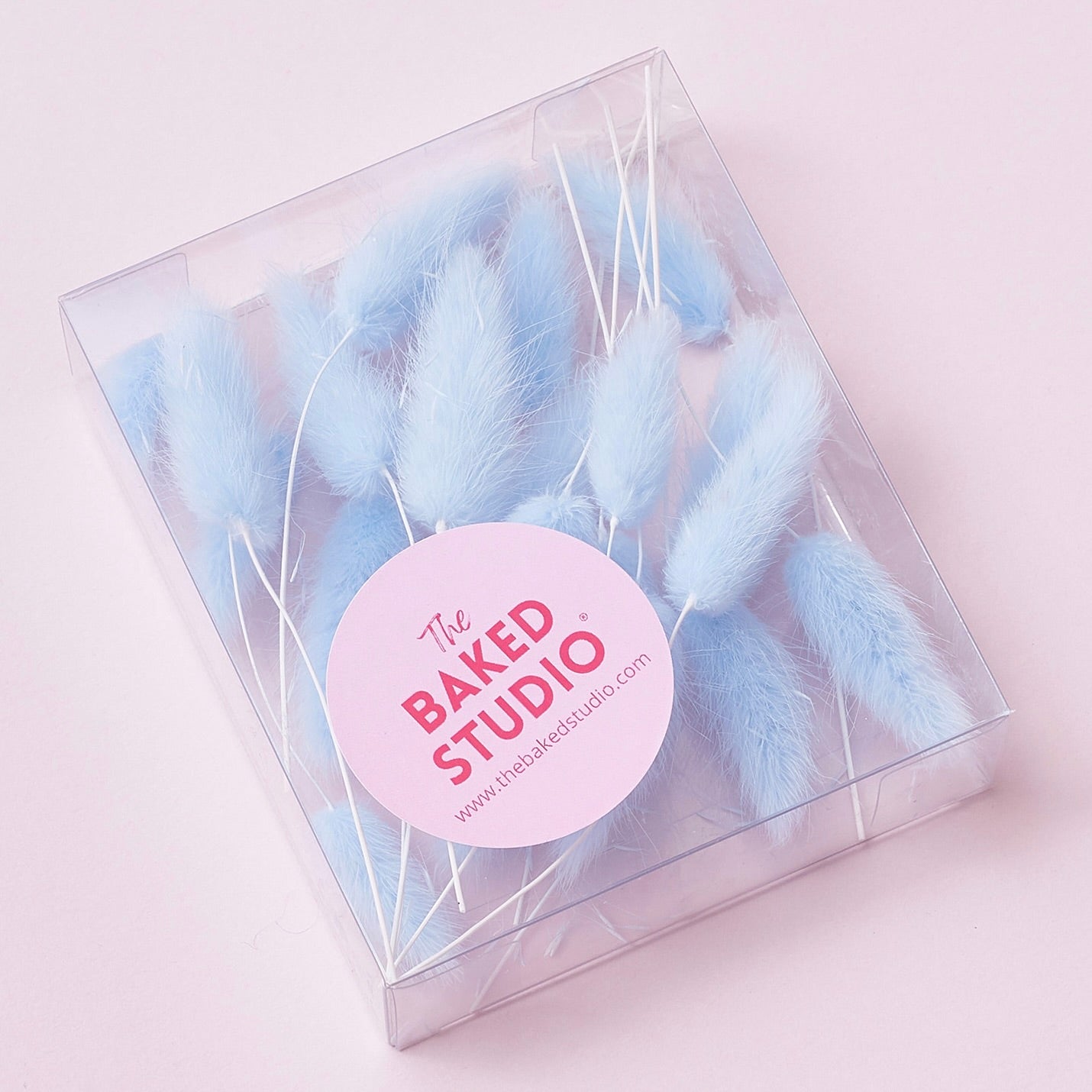 Dried Flower Box Lagurus / Bunny Tails (Light Blue)