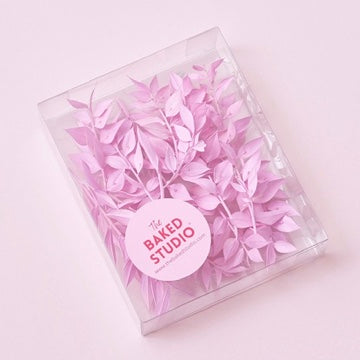 Dried Flower Box Ruscus (Candy Pink)