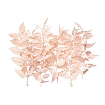 Dried Flower Box Ruscus (Light Pink)