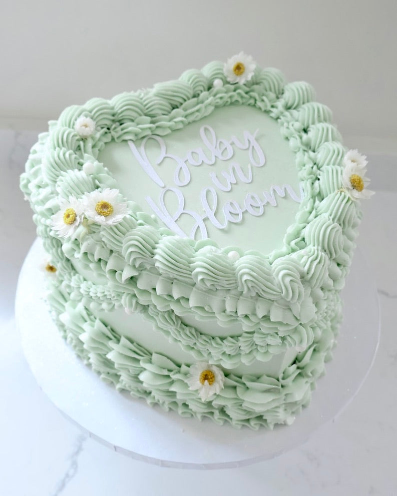 Dried Flower Box Rodanthe Daisies (White)