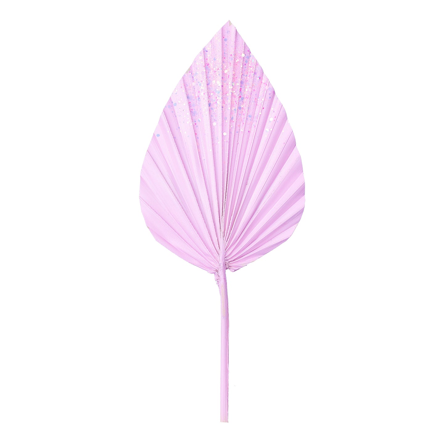 Decorated Dried Palm Spear (Candy Pink Glitter)