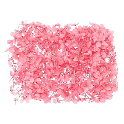 Dried Flower Box Hydrangea (Pink)