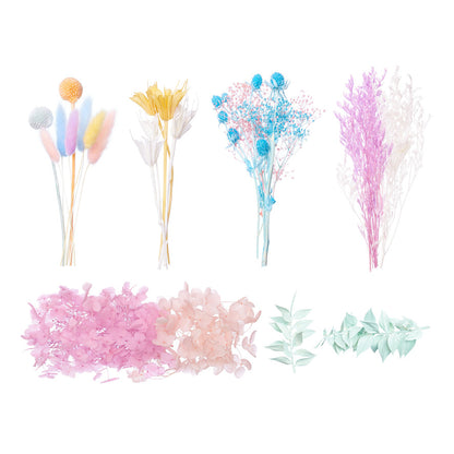 Deluxe Dried Flower Box (Rainbow Pastels)