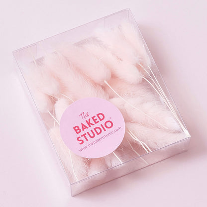 Dried Flower Box Lagurus / Bunny Tails (Light Pink)