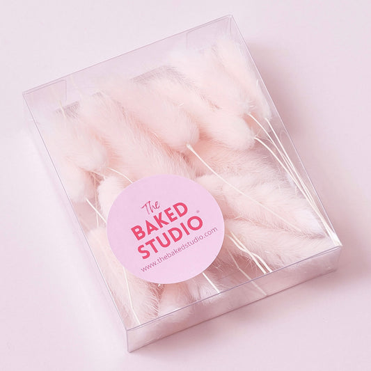 Dried Flower Box Lagurus / Bunny Tails (Light Pink)