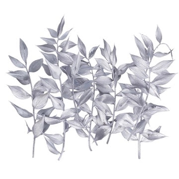 Dried Flower Box Ruscus (Silver)