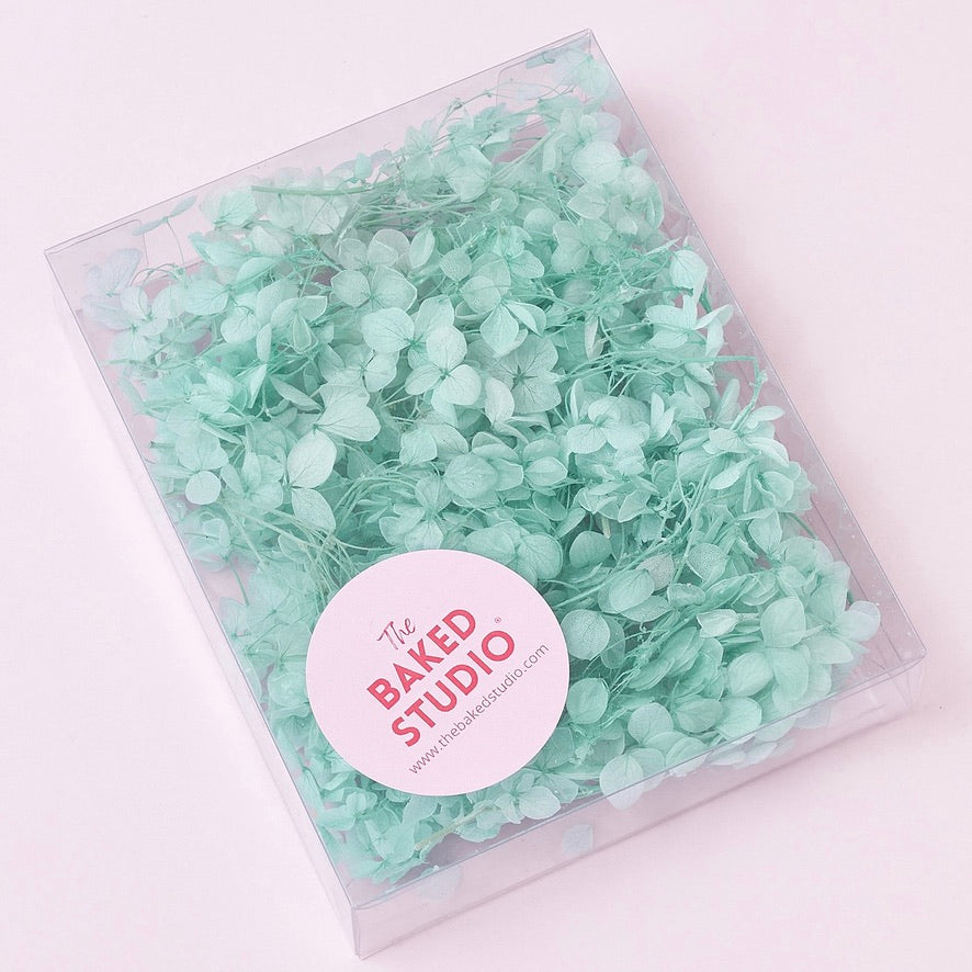 Dried Flower Box Hydrangea (Turquoise)