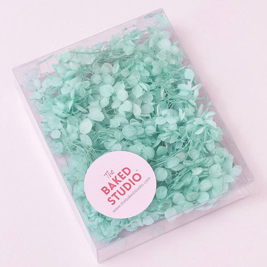 Dried Flower Box Hydrangea (Turquoise)