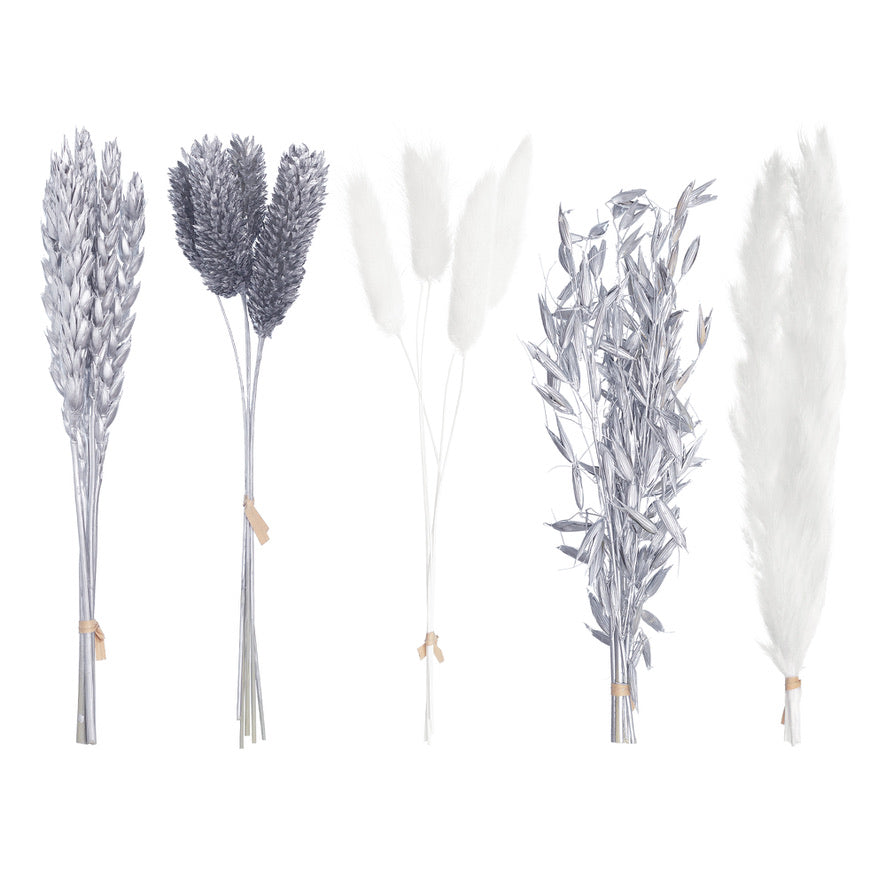 Dried Flower Box Mixed (Silver)