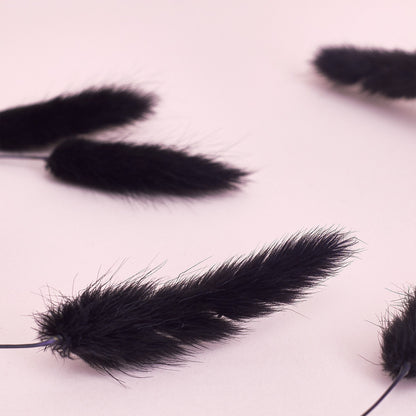 Dried Flower Box Lagurus / Bunny Tails (Black)