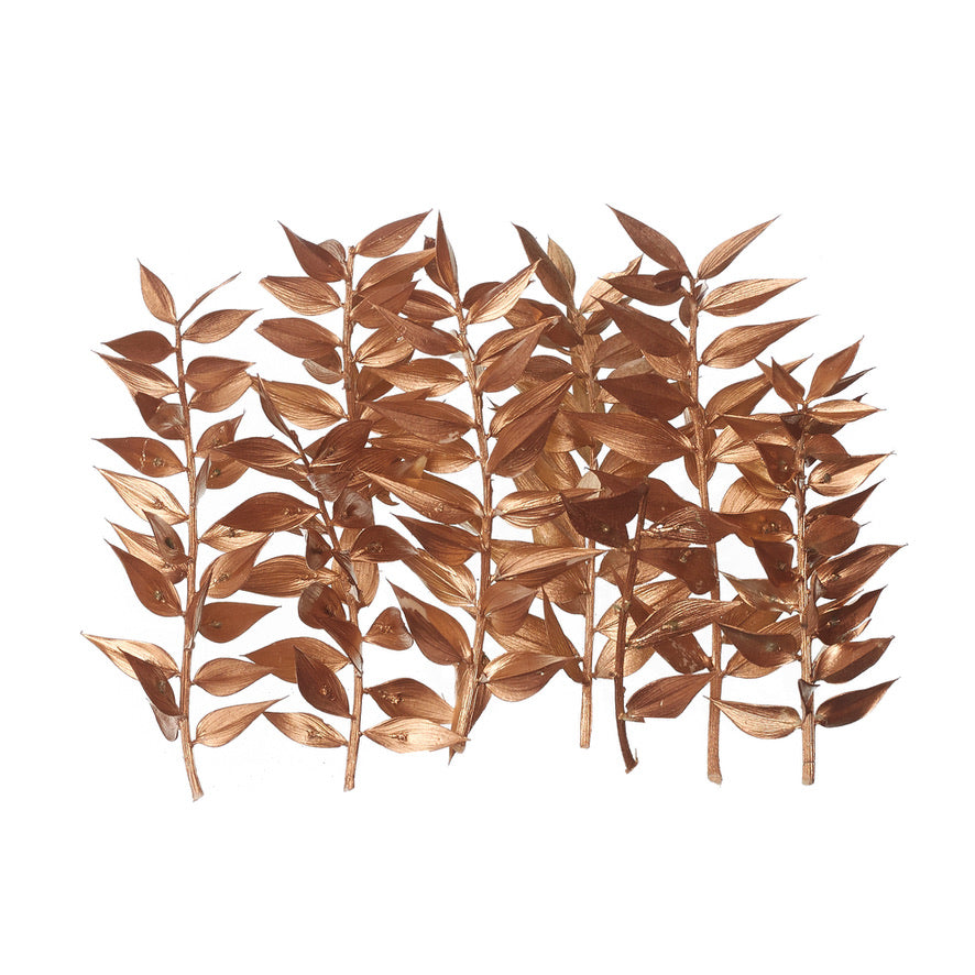 Dried Flower Box Ruscus (Gold)