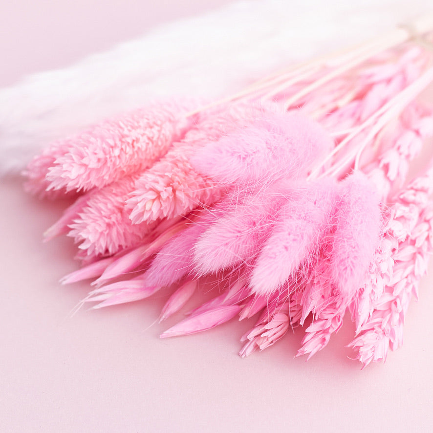 Dried Flower Box Mixed (Hot Pink)