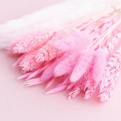 Dried Flower Box Mixed (Hot Pink)