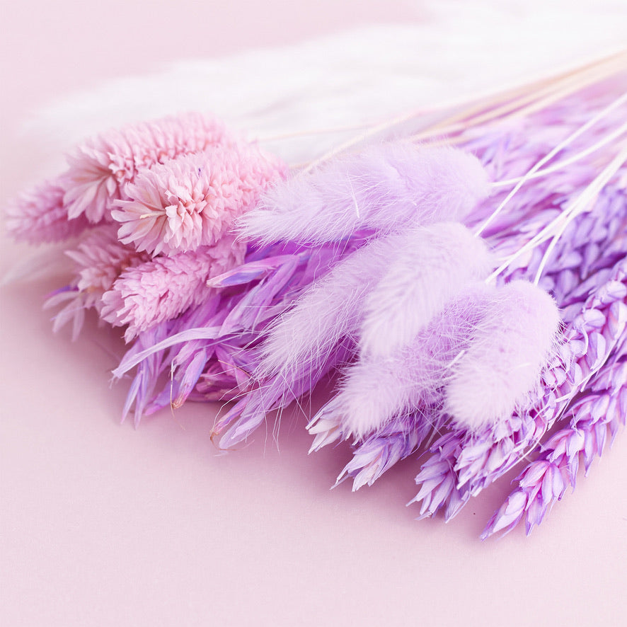 Dried Flower Box Mixed (Purple)