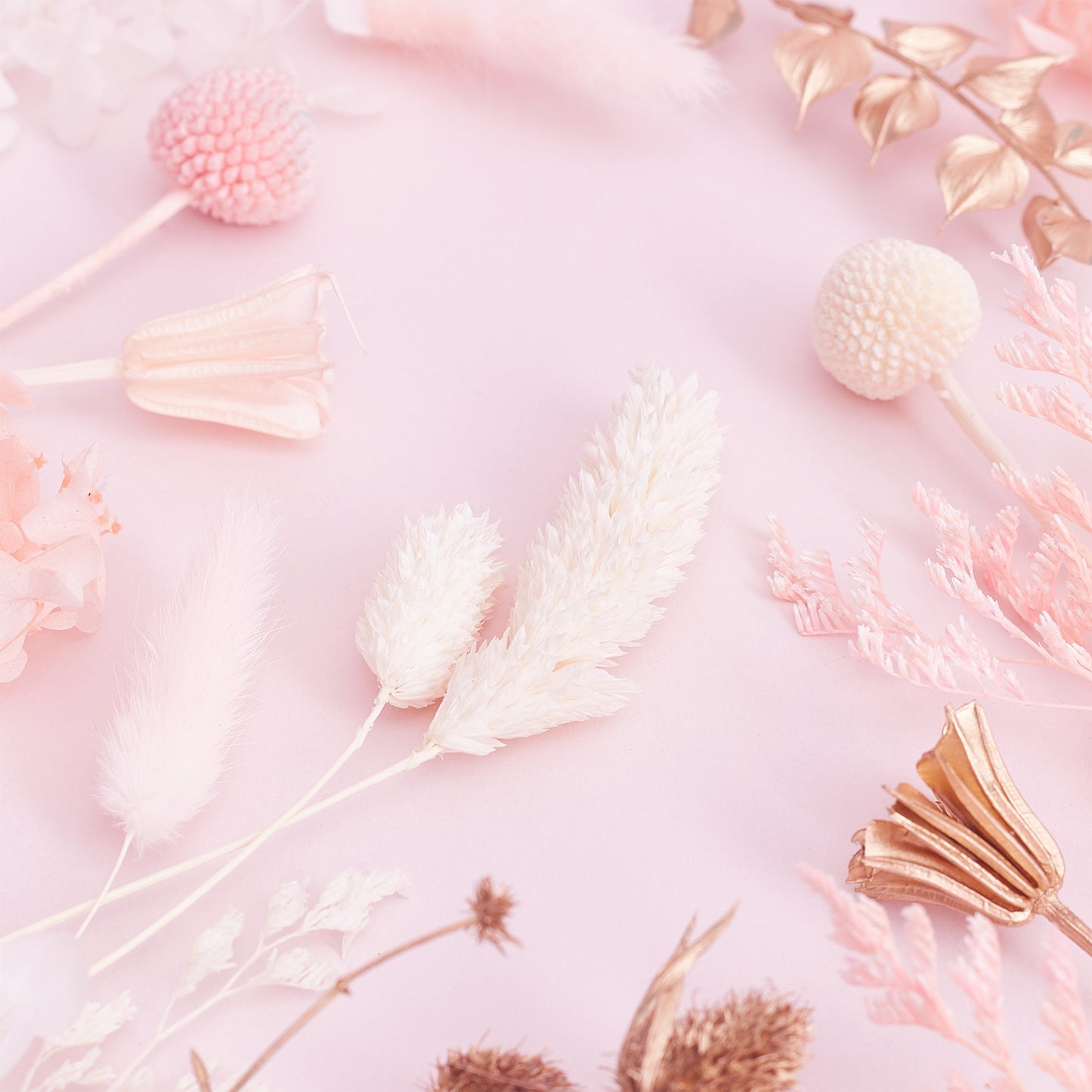 Deluxe Dried Flower Box (Gold, White & Light Pink)