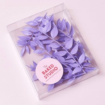 Dried Flower Box Ruscus (Purple)