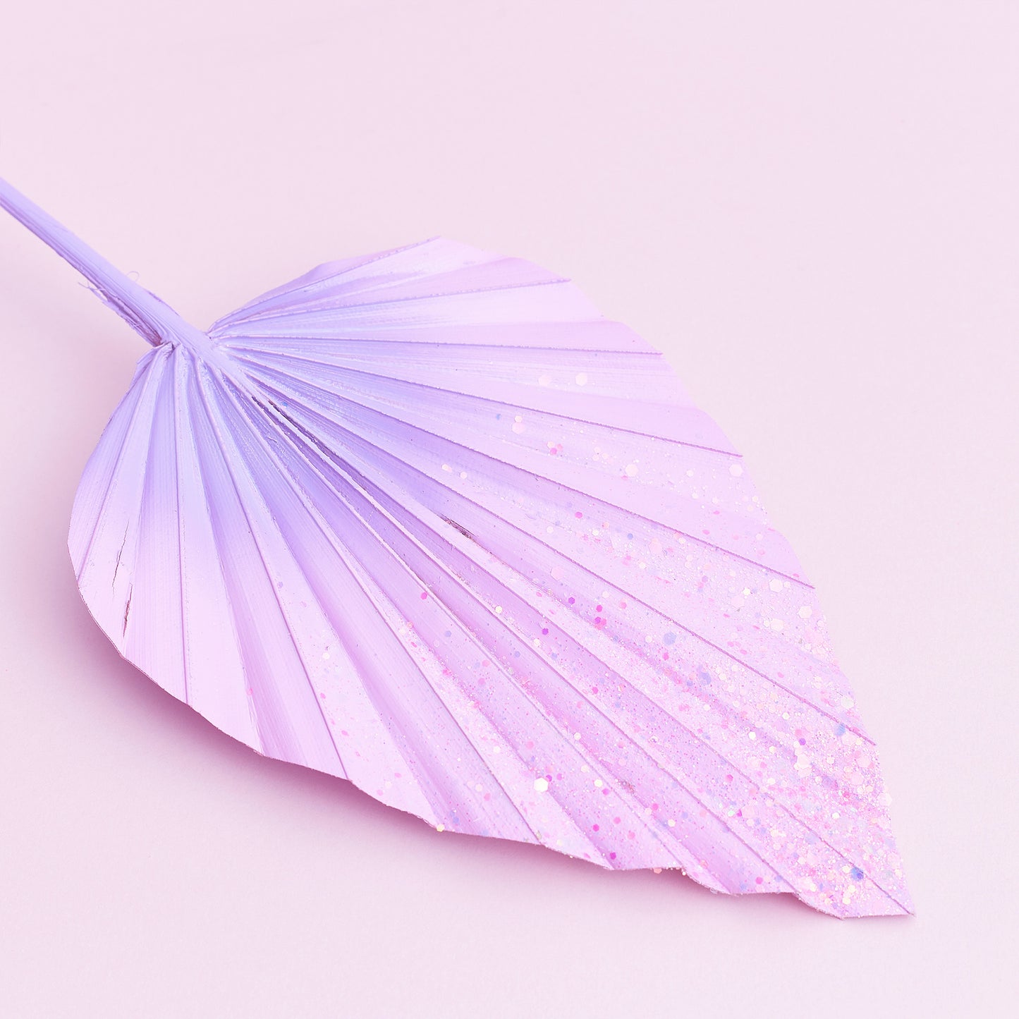 Decorated Dried Palm Spear (Candy Pink & Purple Ombre Glitter)