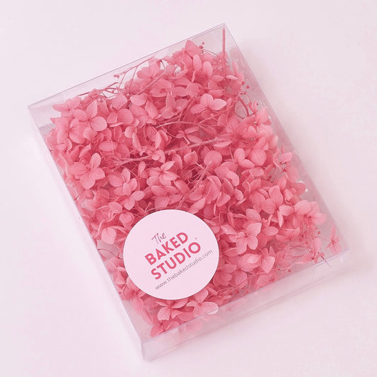Dried Flower Box Hydrangea (Pink)