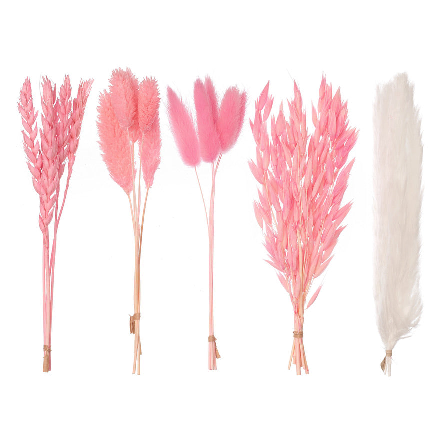 Dried Flower Box Mixed (Hot Pink)