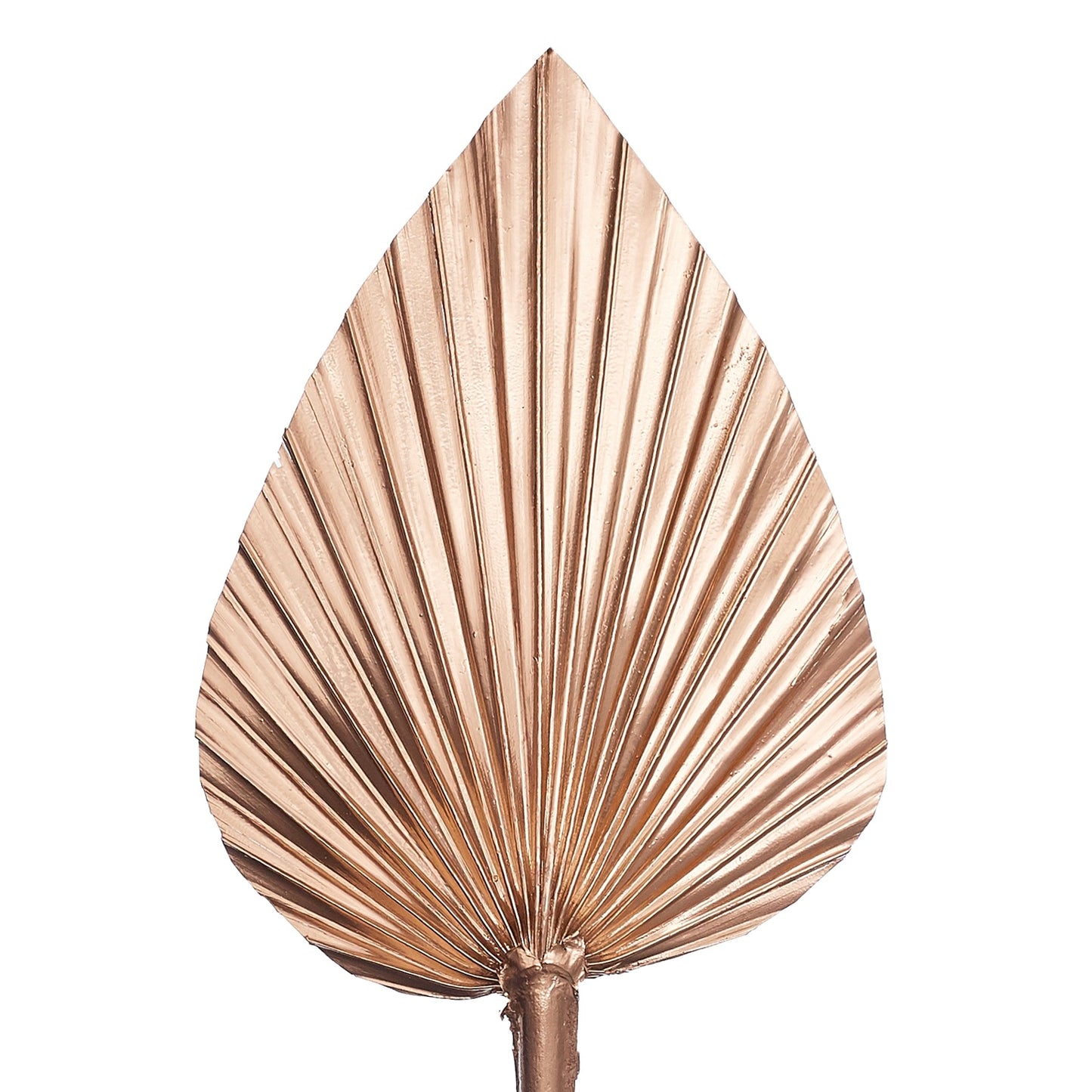 Decorated Dried Palm Spear (Brilliant Gold)