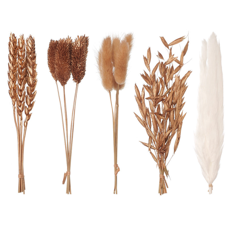 Dried Flower Box Mixed (Gold)