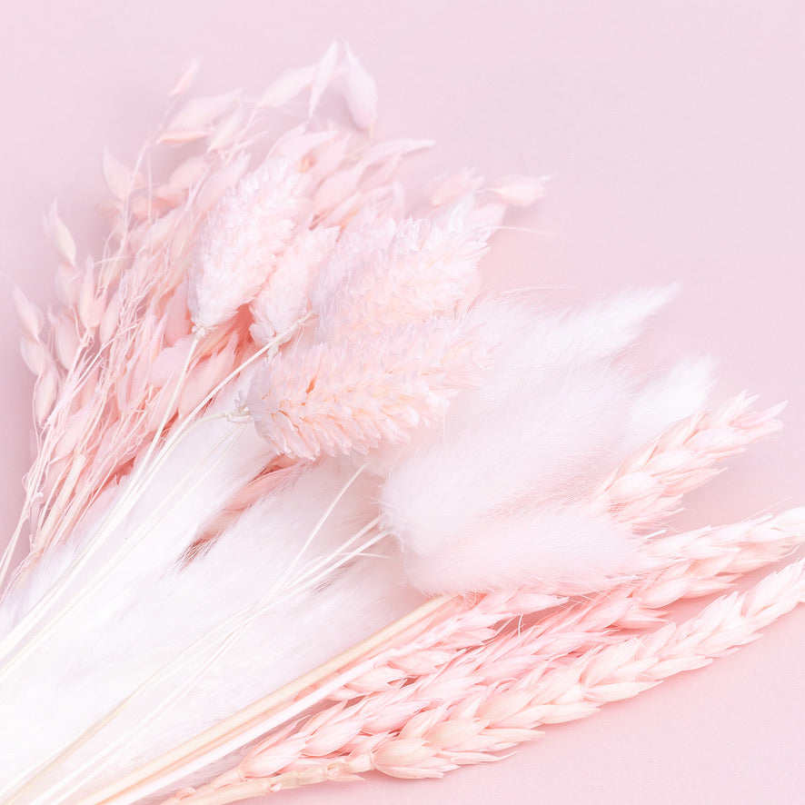 Dried Flower Box Mixed (Light Pink)