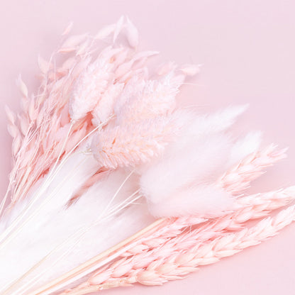 Dried Flower Box Mixed (Light Pink)