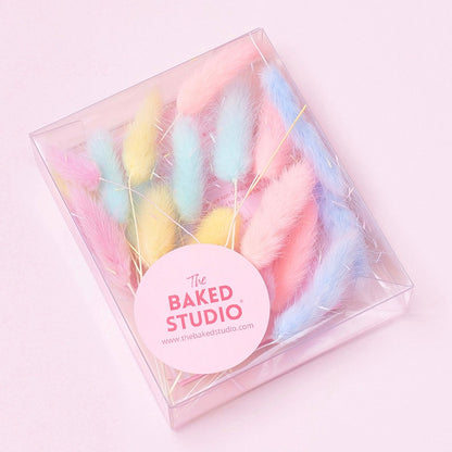 Dried Flower Box Lagurus / Bunny Tails (Rainbow Pastel)